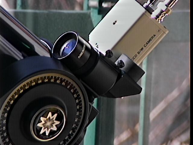 CERCATO1.JPG (36140 byte)
