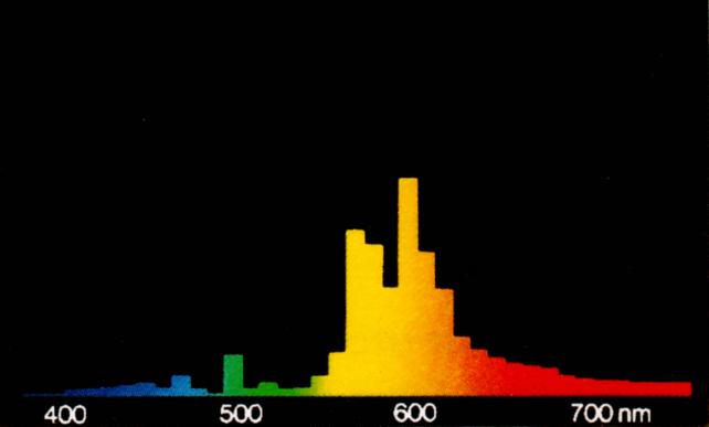 Immagine ridimensionata: clicca sull'immagine per vederla con le dimensioni originali.