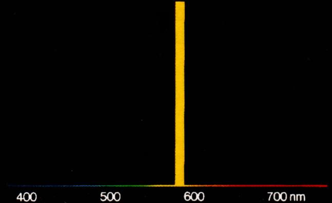 Immagine ridimensionata: clicca sull'immagine per vederla con le dimensioni originali.